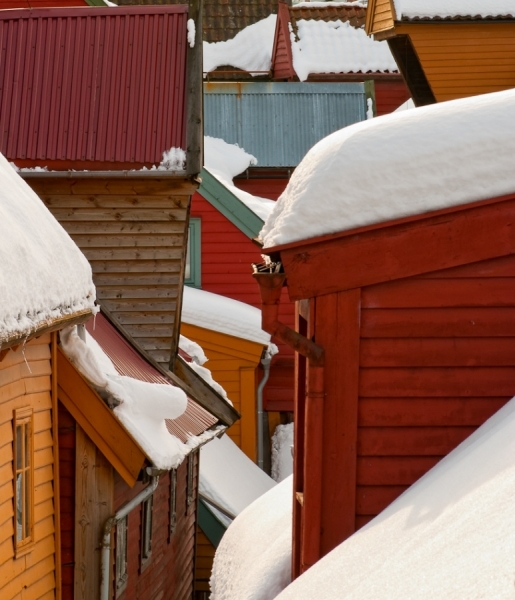 Photograph Papa Frezzo Never Mind The Neighbours In Winter on One Eyeland